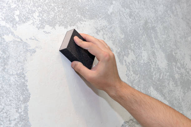Best Biohazard Mold Removal  in Salem, IN
