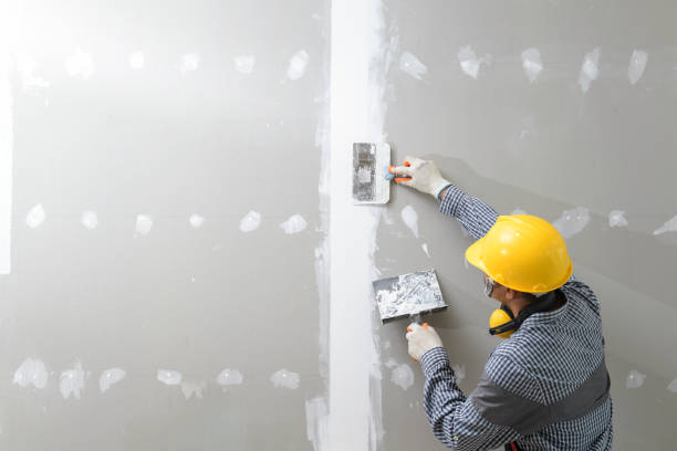 Best Emergency Mold Remediation  in Salem, IN