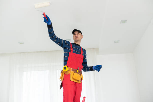 Professional Mold Removal in Salem, IN