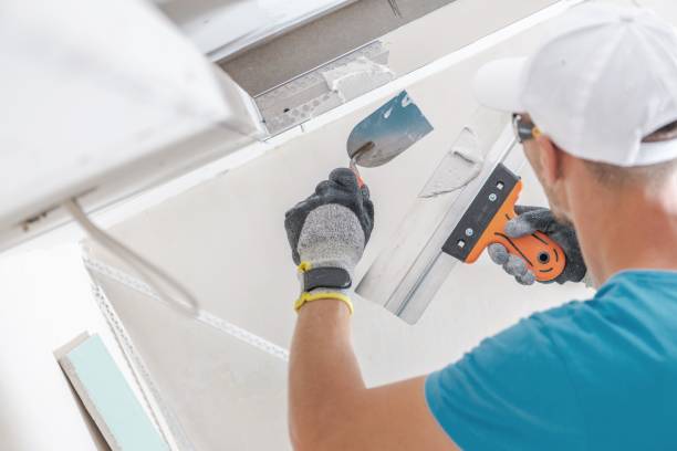Best Air Quality Testing for Mold Spores  in Salem, IN